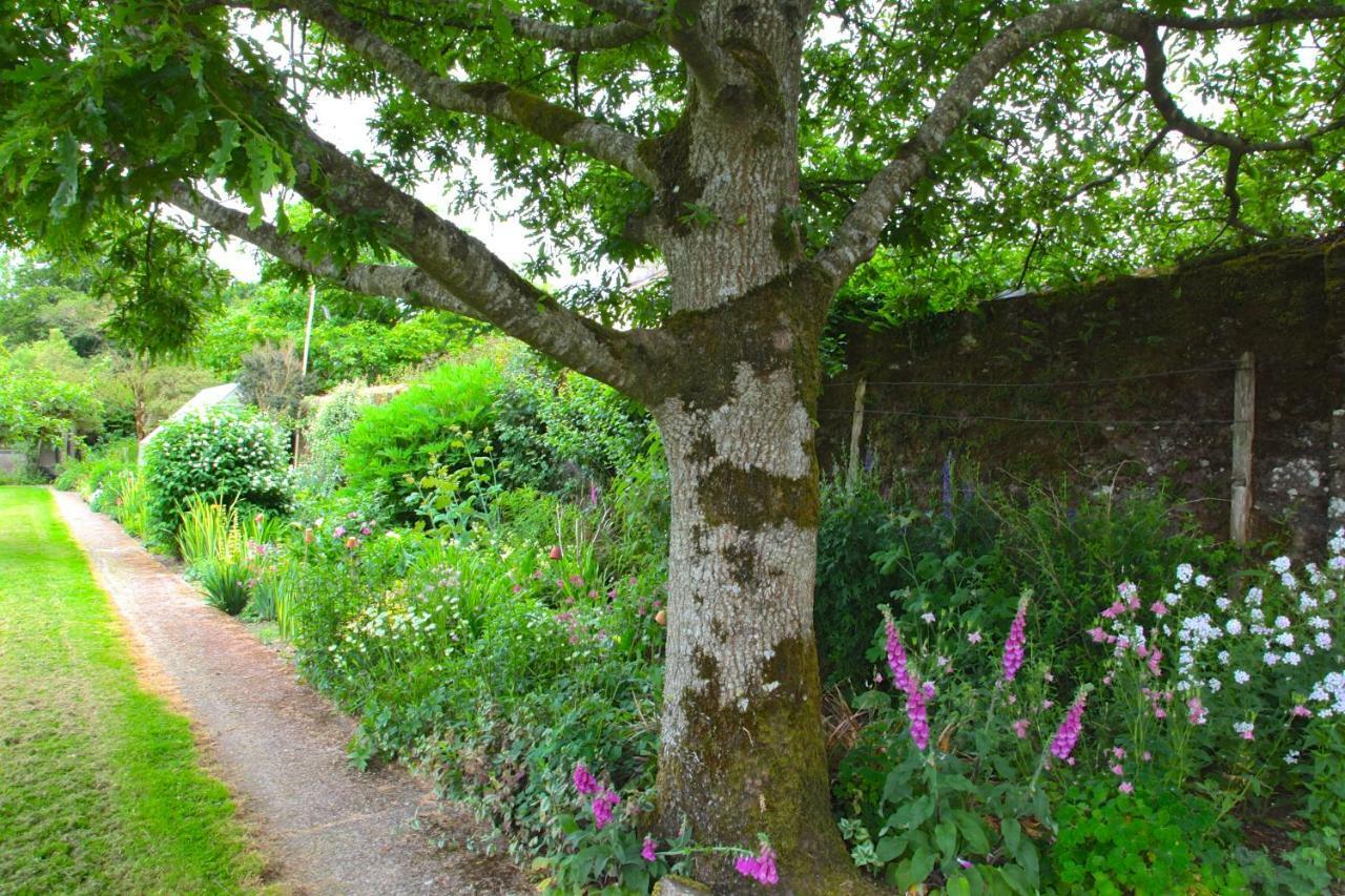 Willowhill House Bed And Breakfast Minane Bridge Exterior foto